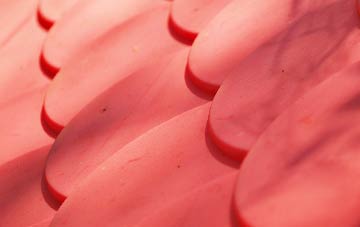 Duisdalebeg plastic roof costs