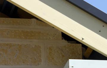 soffit repair Duisdalebeg